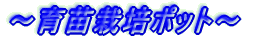 `c͔||bg`